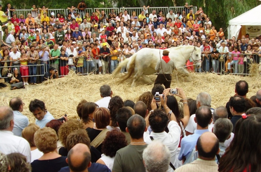 Raddusa: XXV^ Festa del grano, unica sagra siciliana di qualita', 6-7 e 8 settembre 